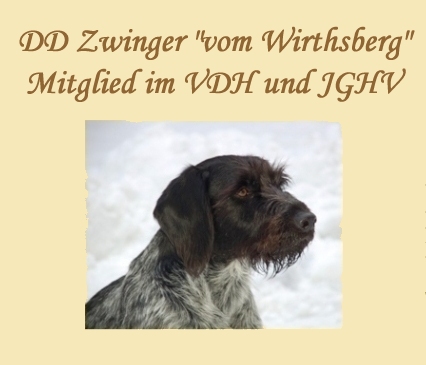 DD Zwinger vom Wirthsberg