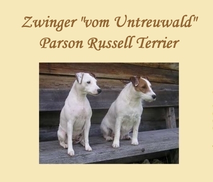 Zwinger vom Untreuwald, Parson Russell Terrier Zwinger, Züchter Parson Russell Terrier, vom Raeuberschlag